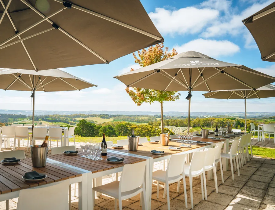 Pike & Joyce Wines — The terrace garden