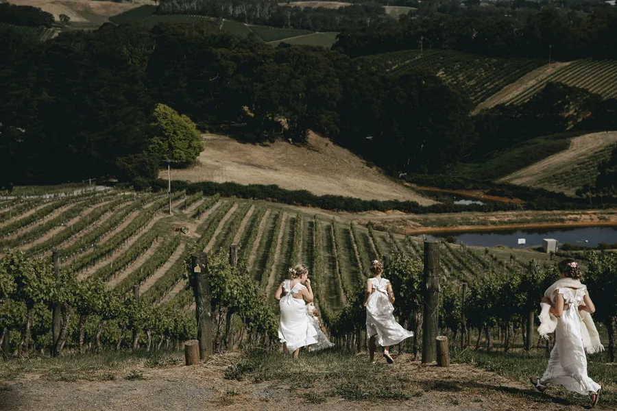 Pike & Joyce Wines — the bride in the vineyard rows