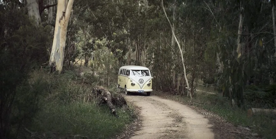 Sinclair's Gully — a kombi on the forest track