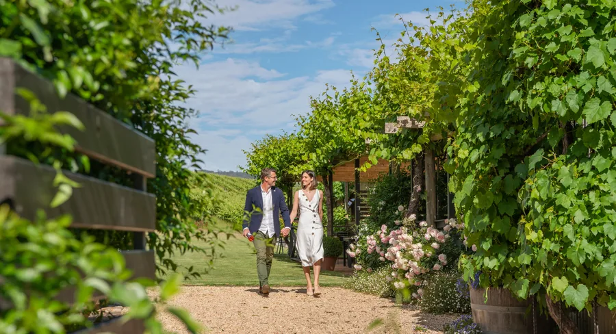 The Currant Shed Restaurant — the vine walk through the garden