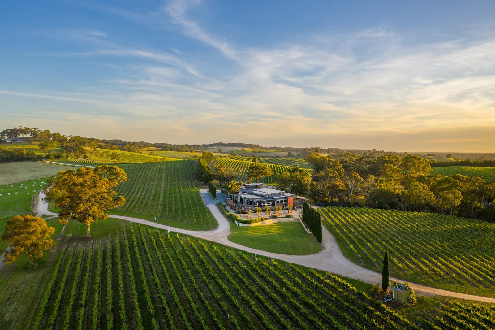The Lane Vineyard &mdash; Adelaide Hills wedding venue