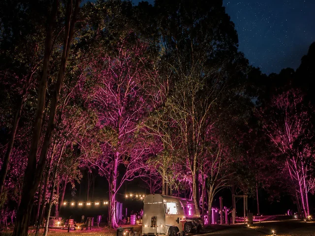 Eucalypts lit in pink against a star-filled night sky above the festoon-lit gathering area at Adeline Estate