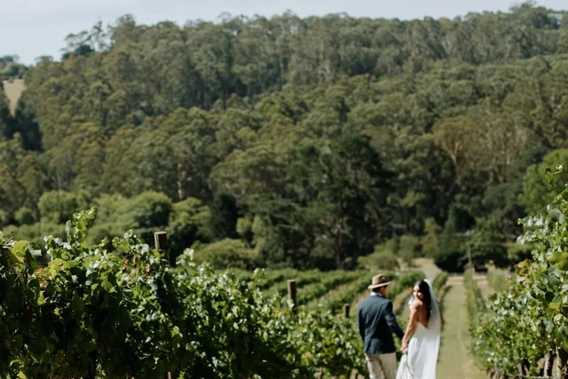 Swallowfield Vineyards