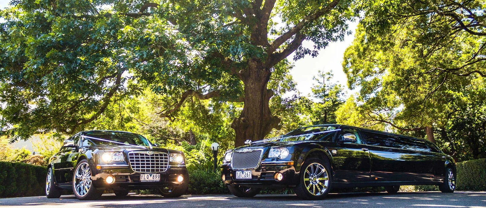 Affinity Limousines, Melbourne wedding limousines