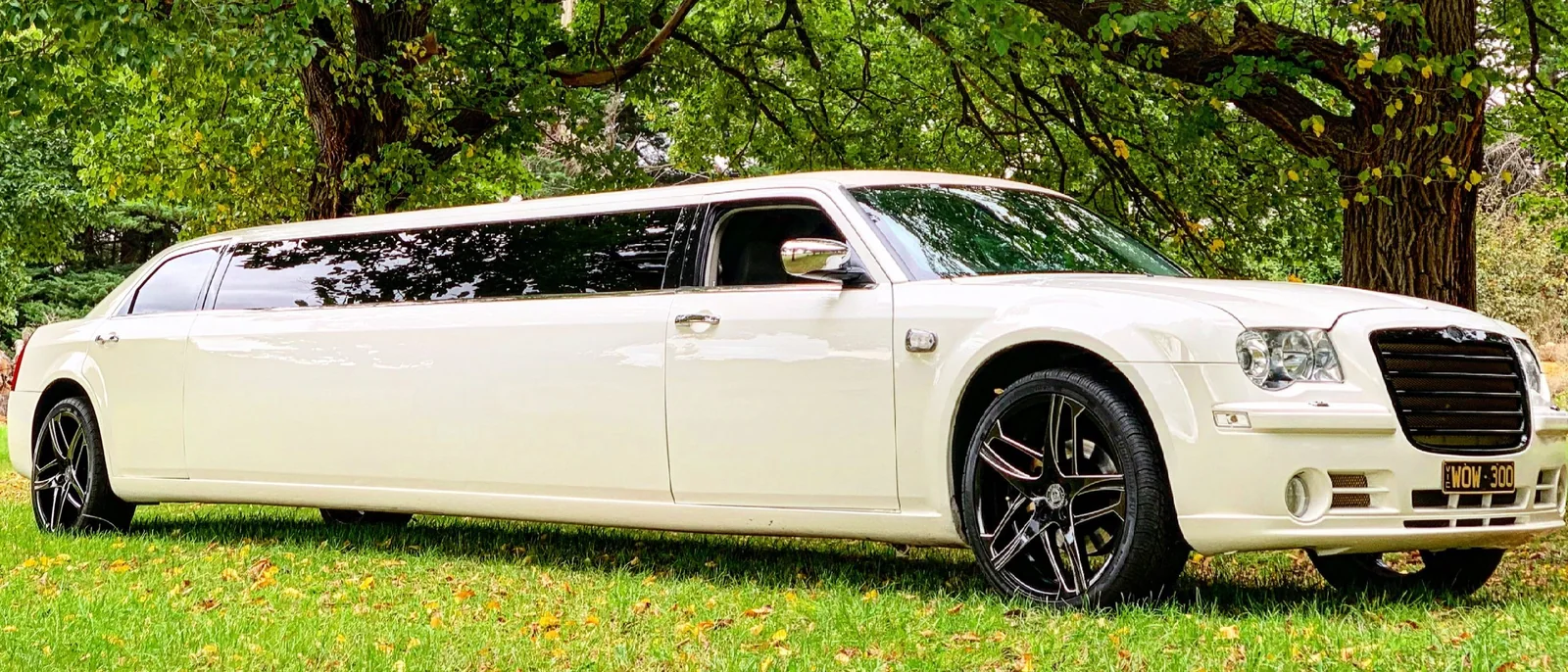 Night Owl Limousines, Melbourne wedding limousines