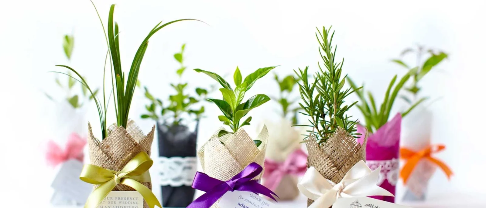 Flourish Bomboniere, Sydney wedding bomboniere