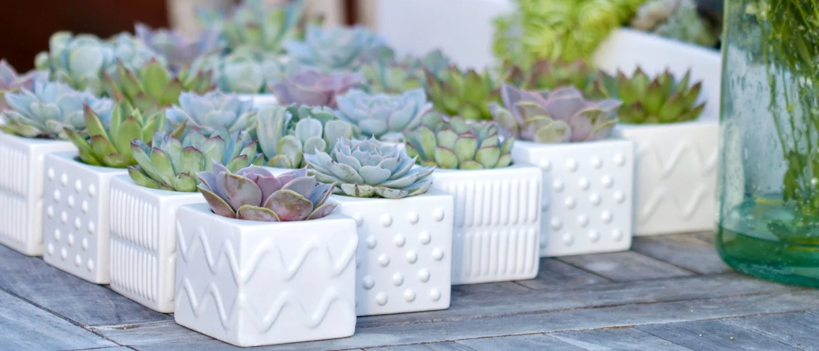Sara's Garden, Sydney wedding favours