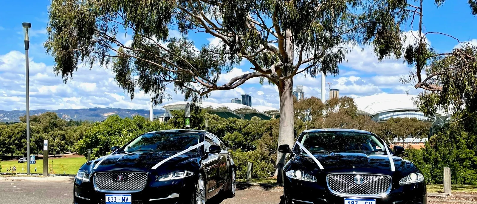 Door to Door Chauffeurs, Adelaide wedding cars