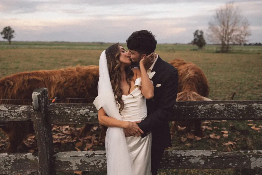 Rogue Weddings: the couple kissing beside highland cattle at Terrara House