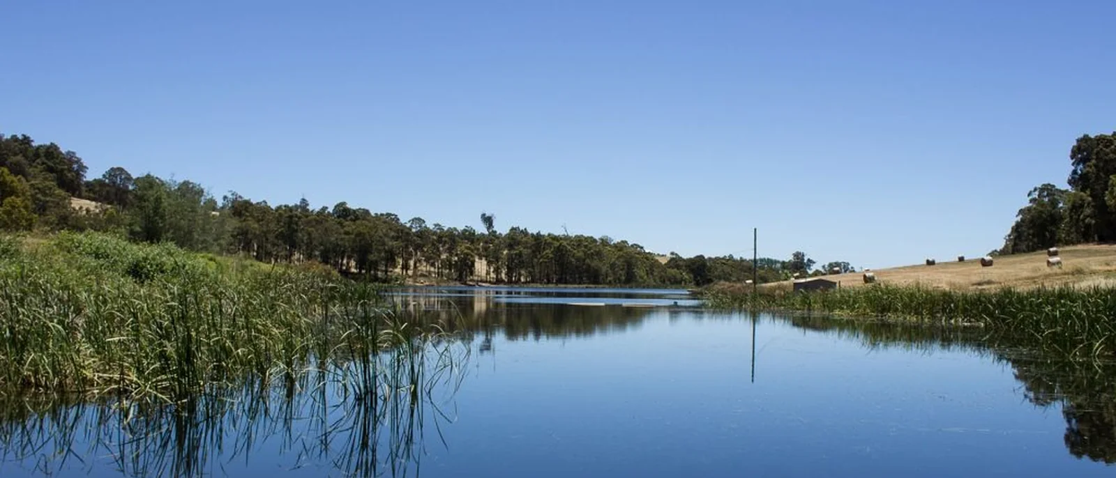 Smallwater Estate, South West wedding venue